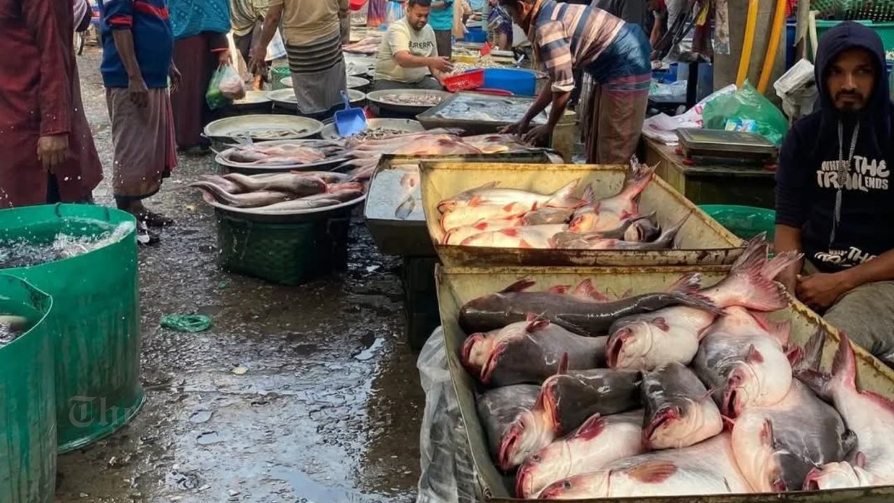 Demand to Relocate Chandina Fish Market: Public Suffering at Peak