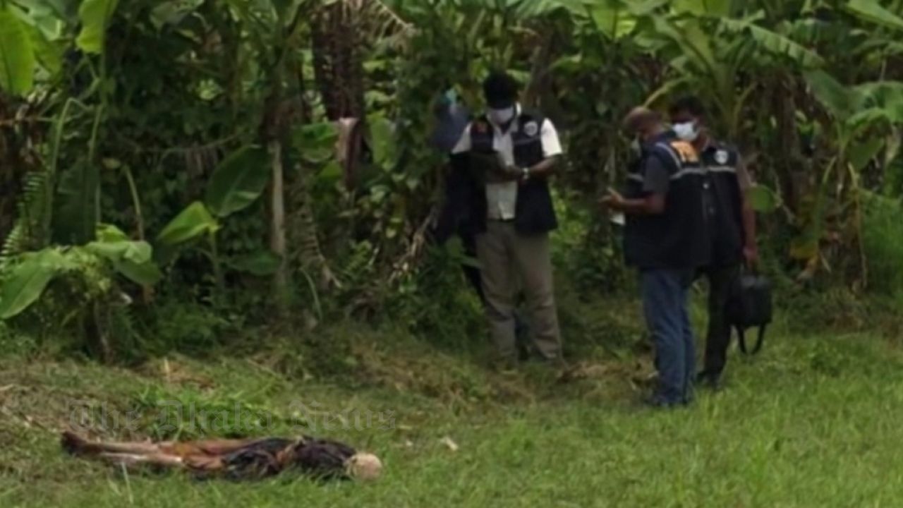 Half-Decomposed Body of Woman Found in Banana Grove in Chandpur