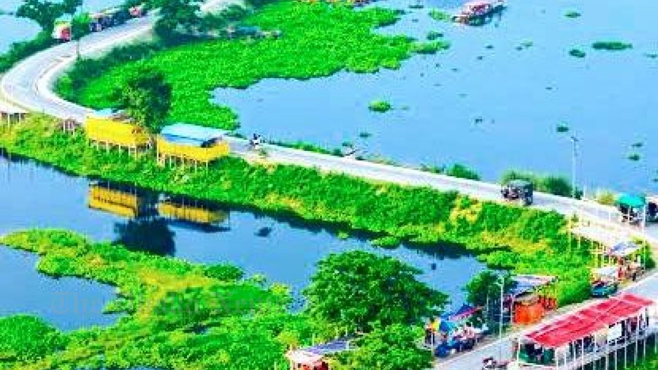 Chandina's Ghughara Beel is enchanting