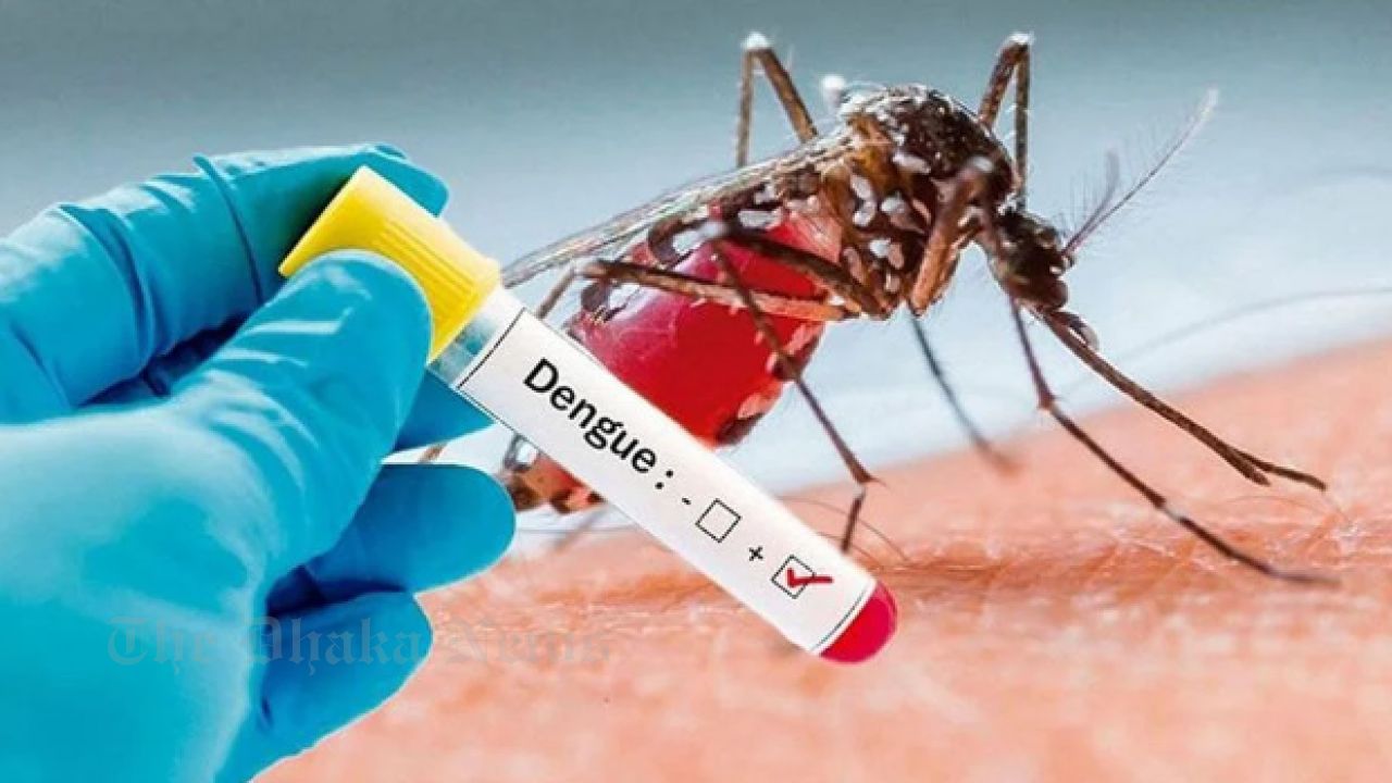 Bangladesh Records 2,089 New Dengue Cases, 6 More Deaths